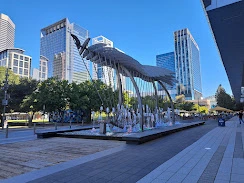Avenida Houston
