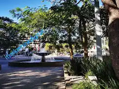 Andador Chapultepec