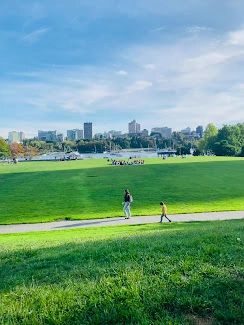 David Lam Park
